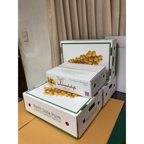 โรงงานผลิตกล่องผลไม้ โรงงานผลิตกล่องผลไม้